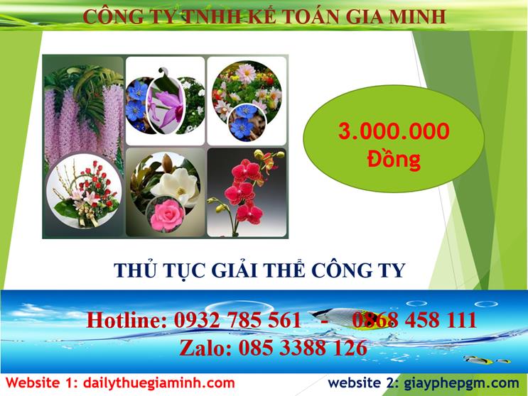 Thủ tục giải thể công ty tại Vĩnh Long 2 Chi phí thủ tục giải thể công ty tại Vĩnh Long