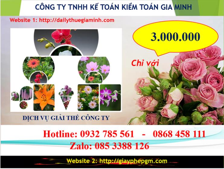 Dịch vụ giải thể công ty Thành phố Thủ Dầu Một 4 Chi phí giải thể công ty tại Thành phố Thủ Dầu Một
