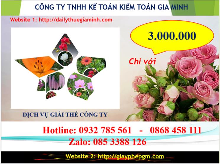 Dịch vụ giải thể công ty Thị xã Dĩ An 5 Chi phí giải thể công ty tại Thị xã Dĩ An