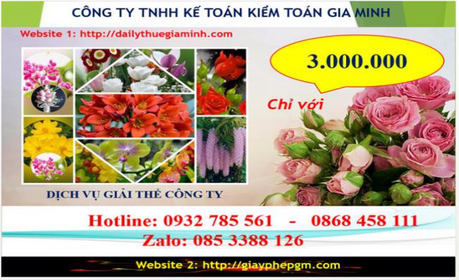 Chi phí giải thể công ty tại Thị xã Thuận An