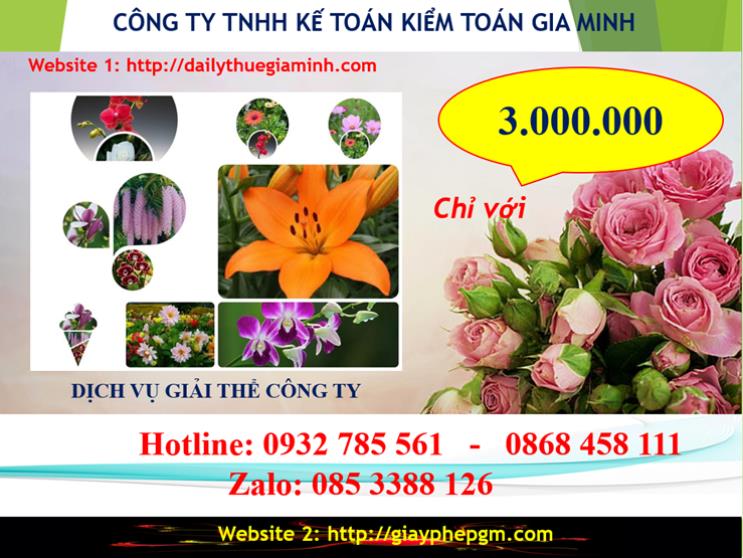 Dịch vụ giải thể công ty Vĩnh Long 2 Chi phí giải thể công ty tại Vĩnh Long