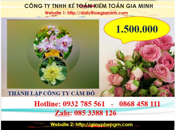Thành lập công ty cầm đồ tại Đồng Tháp 5 Chi phí thành lập doanh nghiệp cầm đồ tại Đồng Tháp
