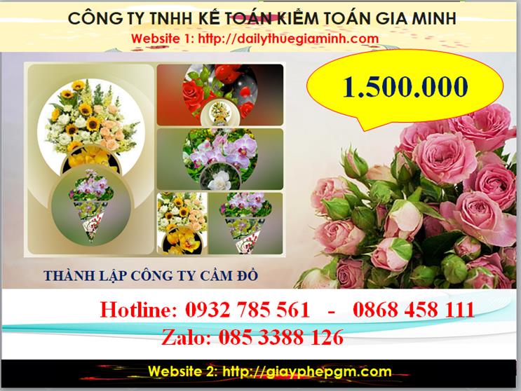 Thành lập công ty cầm đồ tại Hải Dương 2 Chi phí thành lập doanh nghiệp cầm đồ tại Hải Dương