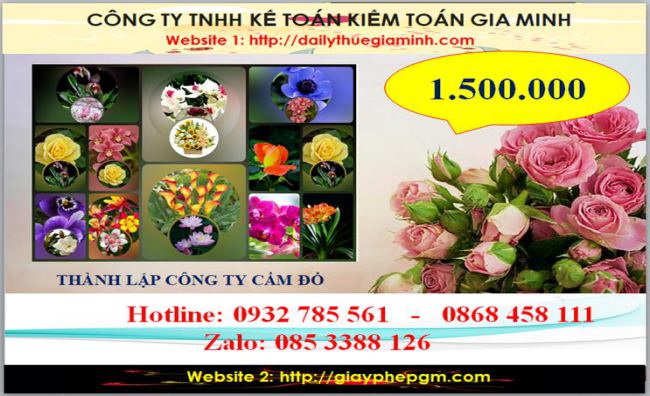 Thành lập công ty cầm đồ tại Hải Phòng 5 Chi phí thành lập doanh nghiệp cầm đồ tại Hải Phòng