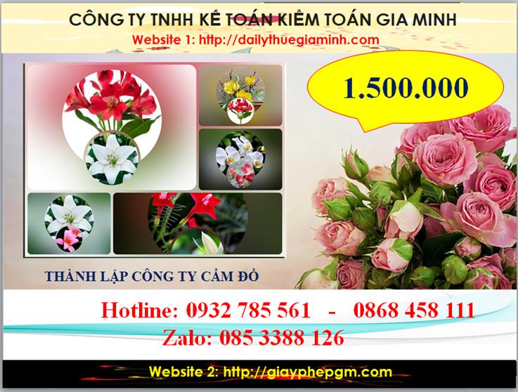 Thành lập công ty cầm đồ tại Hòa Bình 9 Chi phí thành lập doanh nghiệp cầm đồ tại Hòa Bình