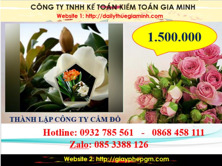 Thành lập công ty cầm đồ tại Quảng Ninh 5 Chi phí thành lập doanh nghiệp cầm đồ tại Quảng Ninh
