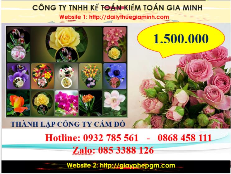 Thành lập công ty cầm đồ tại Tiền Giang 5 Chi phí thành lập doanh nghiệp cầm đồ tại Tiền Giang