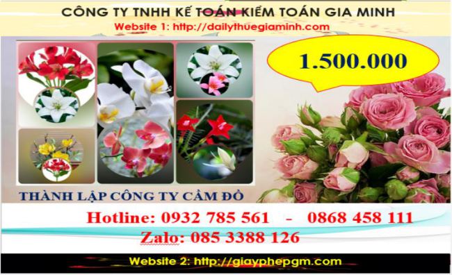 Thành lập công ty cầm đồ tại Tuyên Quang 5 Chi phí thành lập doanh nghiệp cầm đồ tại Tuyên Quang