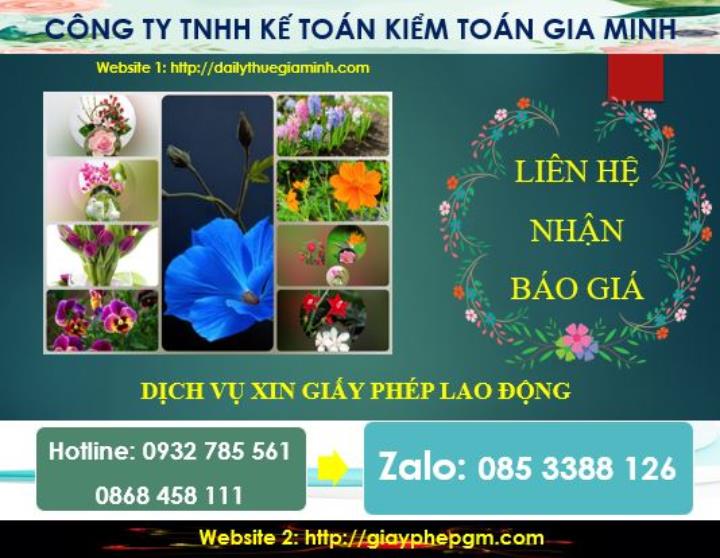 Xin giấy phép lao động tại Vĩnh Phúc 5 Chi phí thực hiện giấy phép lao động tại Vĩnh Phúc