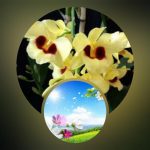 Đăng ký thành lập công ty tại An Giang 6 Muốn đăng ký thành lập công ty tại An Giang