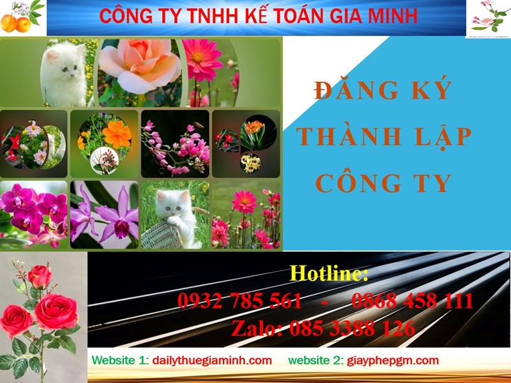 Đăng ký thành lập công ty tại An Giang 4 Thủ tục đăng ký thành lập công ty tại An Giang