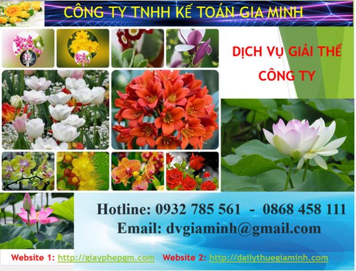 Giải thể công ty tại Hải Phòng: Dịch vụ trọn gói, thủ tục nhanh chóng 4 Dịch vụ giải thể công ty Hải Phòng