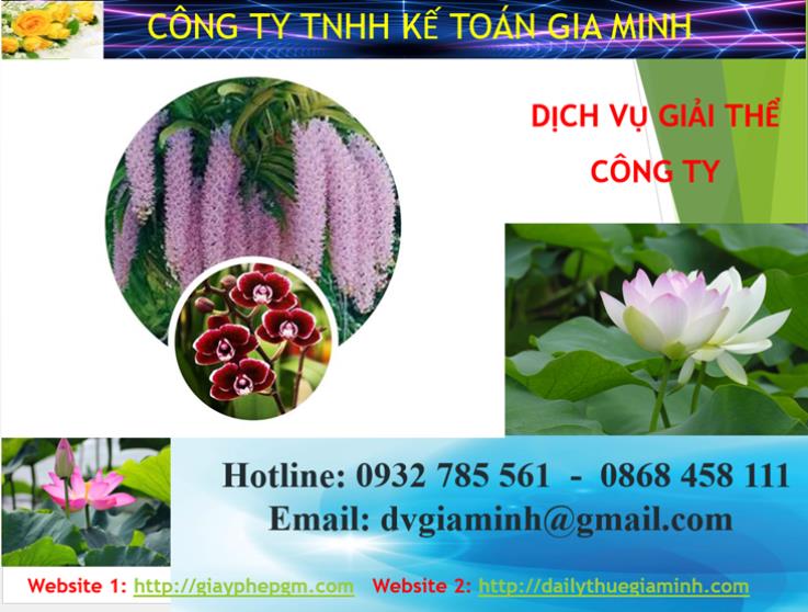 Dịch vụ giải thể công ty Hòa Bình 4 Dịch vụ giải thể công ty Hòa Bình