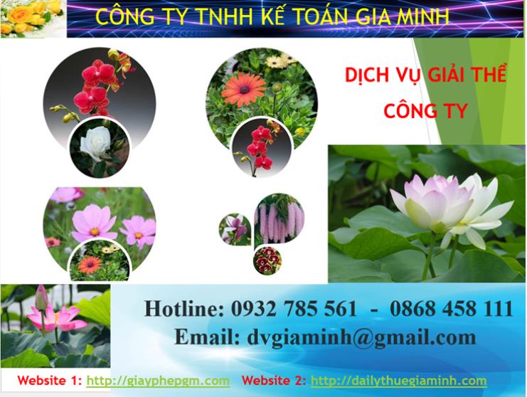 Dịch vụ giải thể công ty Kiên Giang 1 Dịch vụ giải thể công ty Kiên Giang