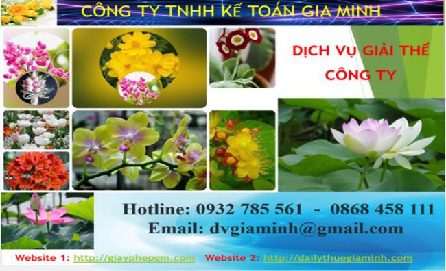 Dịch vụ giải thể công ty Ninh Thuận 4 Dịch vụ giải thể công ty Ninh Thuận