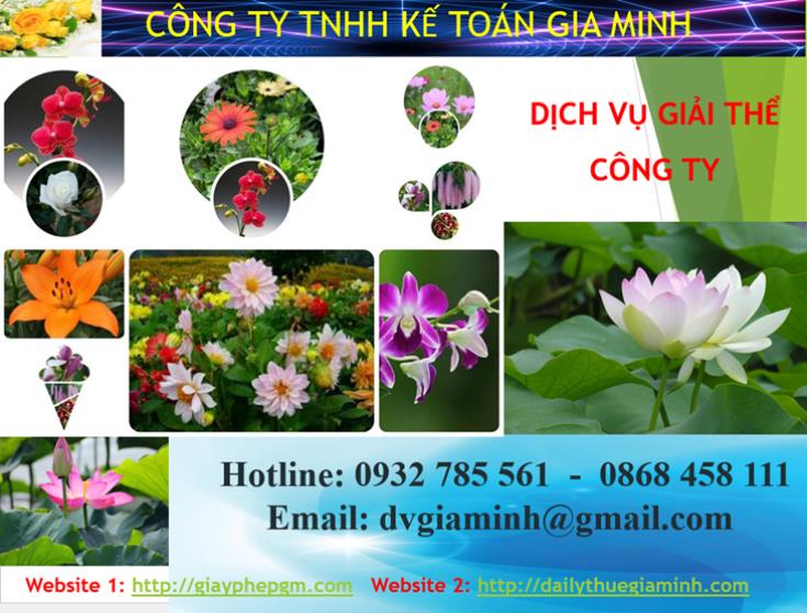 Dịch vụ giải thể công ty Thành phố Thủ Dầu Một 3 Dịch vụ giải thể công ty Thành phố Thủ Dầu Một