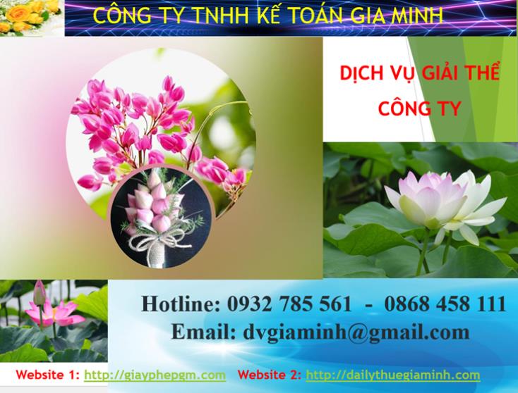 Dịch vụ giải thể công ty Vĩnh Long 1 Dịch vụ giải thể công ty Vĩnh Long