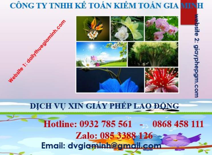 Xin giấy phép lao động tại An Giang 4 Dịch vụ giấy phép lao động tại An Giang