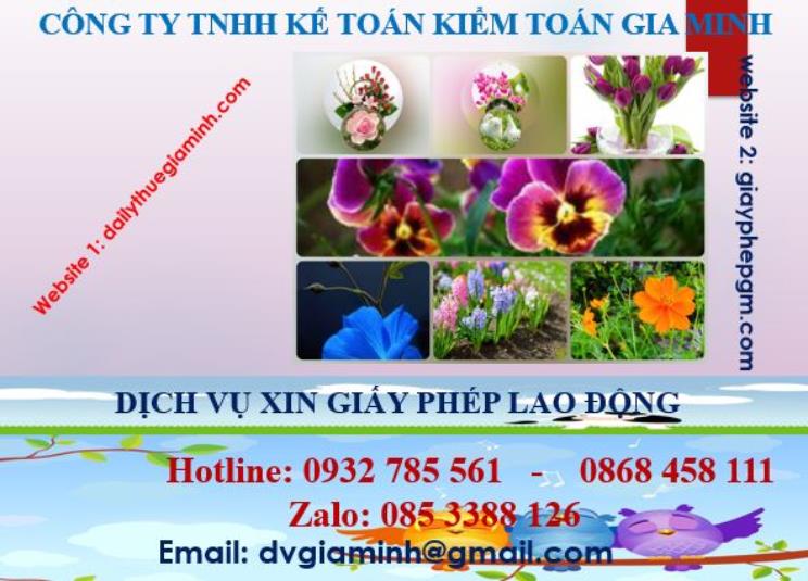 Xin giấy phép lao động tại Bắc Giang 4 Dịch vụ giấy phép lao động tại Bắc Giang