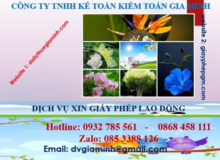 Xin giấy phép lao động tại Bình Định 4 Dịch vụ giấy phép lao động tại Bình Định