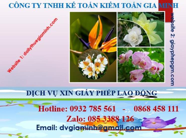 Dịch vụ giấy phép lao động tại Cao Bằng