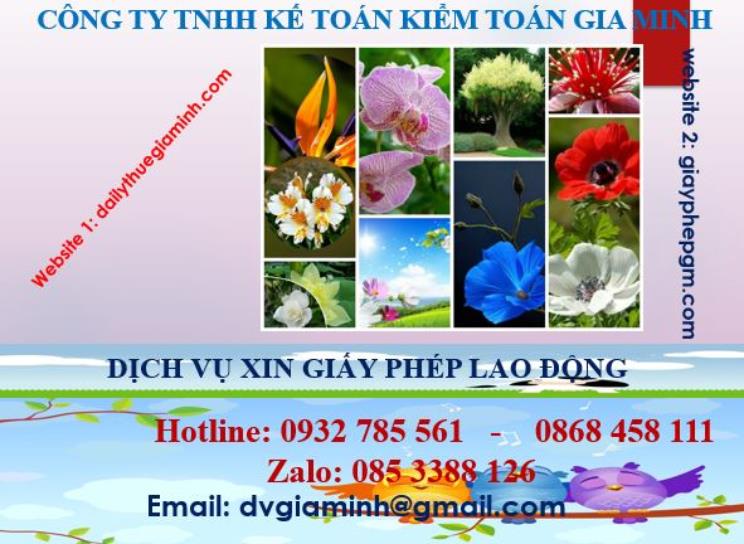Xin giấy phép lao động tại Đà Nẵng 4 Dịch vụ giấy phép lao động tại Đà Nẵng
