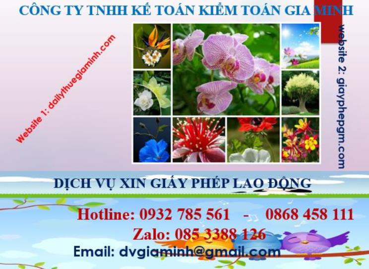 Xin giấy phép lao động tại Đồng Tháp 4 Dịch vụ giấy phép lao động tại Đồng Tháp