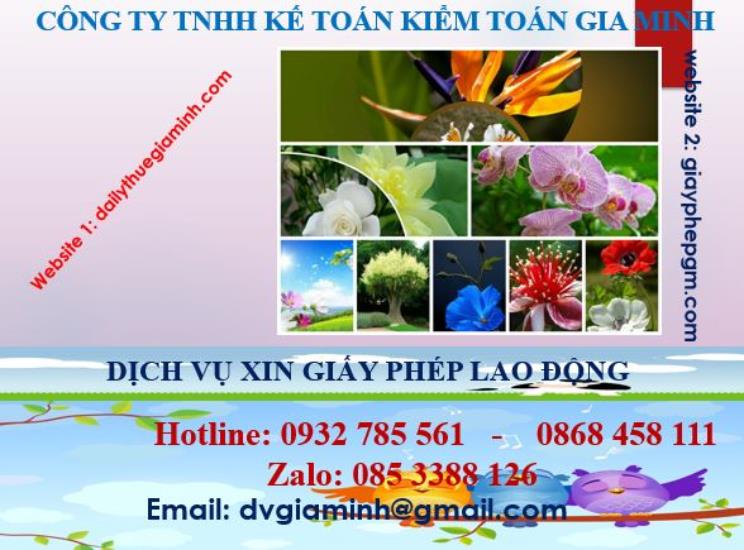 Xin giấy phép lao động tại Hải Dương 4 Dịch vụ giấy phép lao động tại Hải Dương