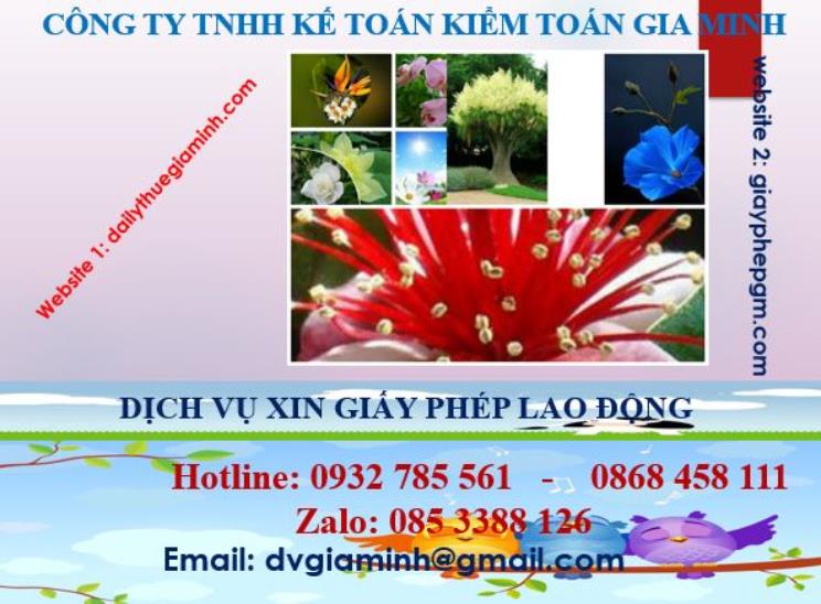 Xin giấy phép lao động tại Hải Phòng 4 Dịch vụ giấy phép lao động tại Hải Phòng