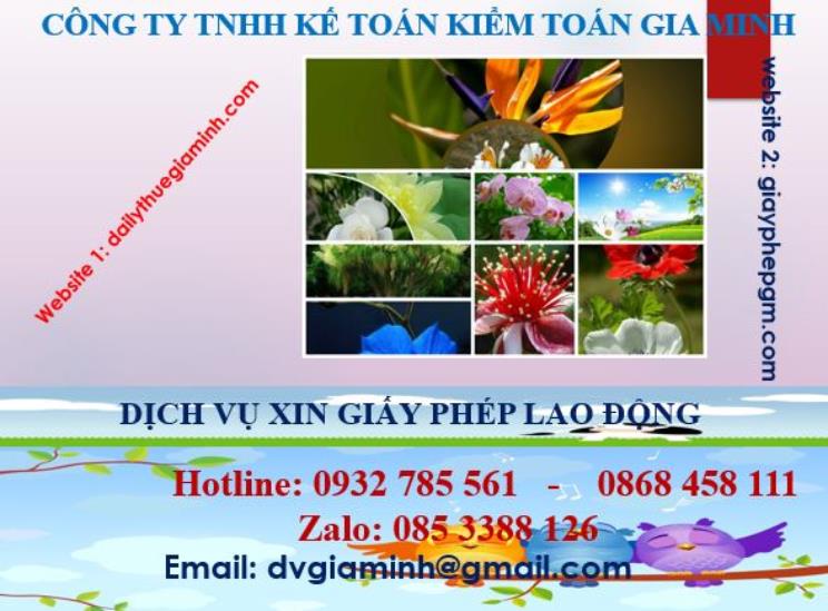 Xin giấy phép lao động tại Huế 4 Dịch vụ giấy phép lao động tại Huế