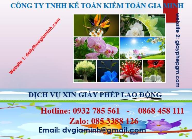 Xin giấy phép lao động tại Hưng Yên 4 Dịch vụ giấy phép lao động tại Hưng Yên