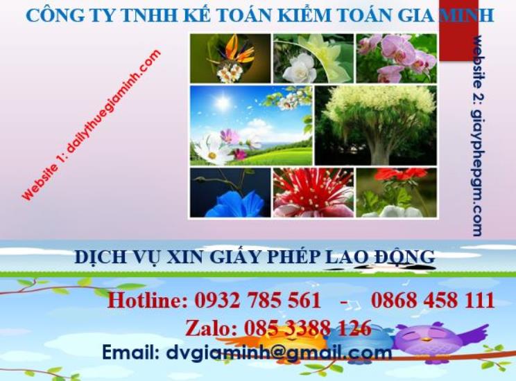 Xin giấy phép lao động tại Huyện Bắc Tân Uyên 4 Dịch vụ giấy phép lao động tại Huyện Bắc Tân Uyên