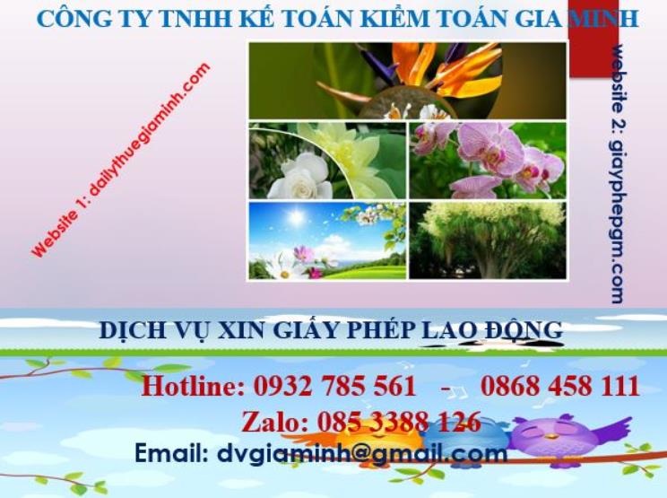Xin giấy phép lao động tại Khánh Hòa 4 Dịch vụ giấy phép lao động tại Khánh Hòa