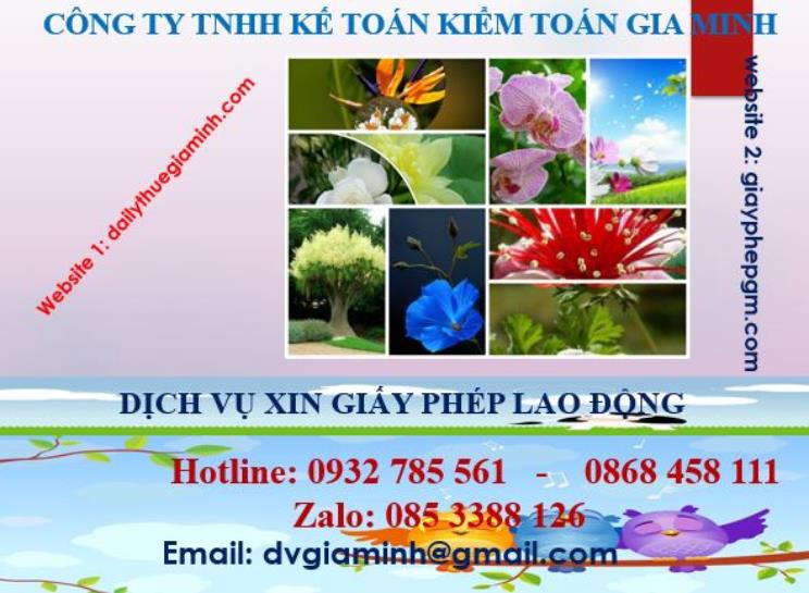 Xin giấy phép lao động tại Lạng Sơn 4 Dịch vụ giấy phép lao động tại Lạng Sơn