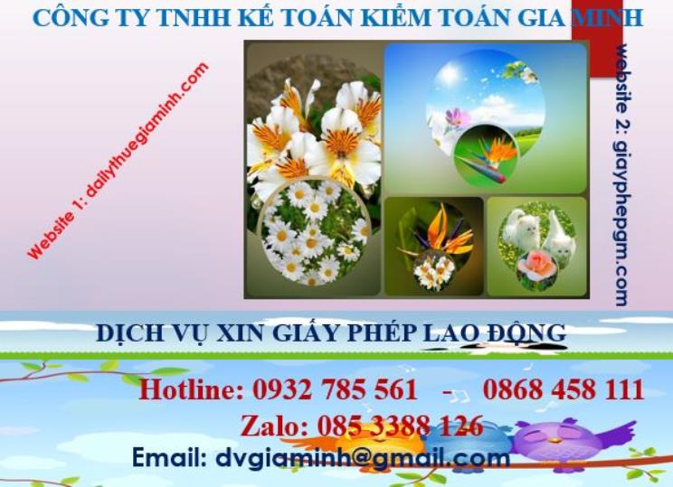 Xin giấy phép lao động tại Lào Cai 4 Dịch vụ giấy phép lao động tại Lào Cai