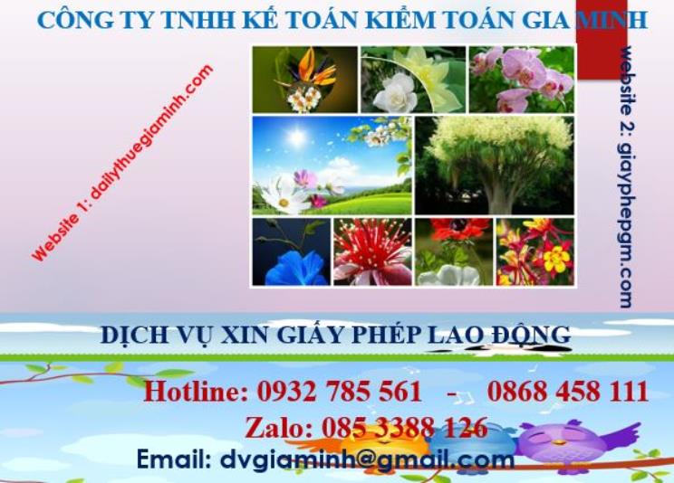 Xin giấy phép lao động tại Long An 4 Dịch vụ giấy phép lao động tại Long An