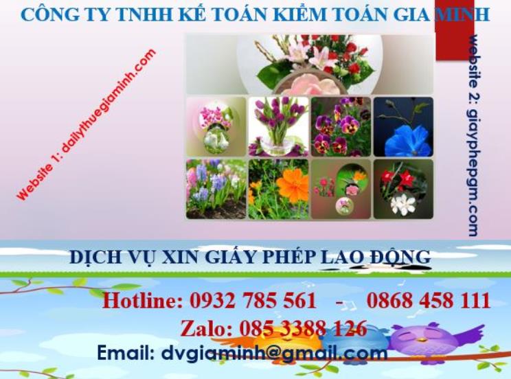 Xin giấy phép lao động tại Nam Định 4 Dịch vụ giấy phép lao động tại Nam Định