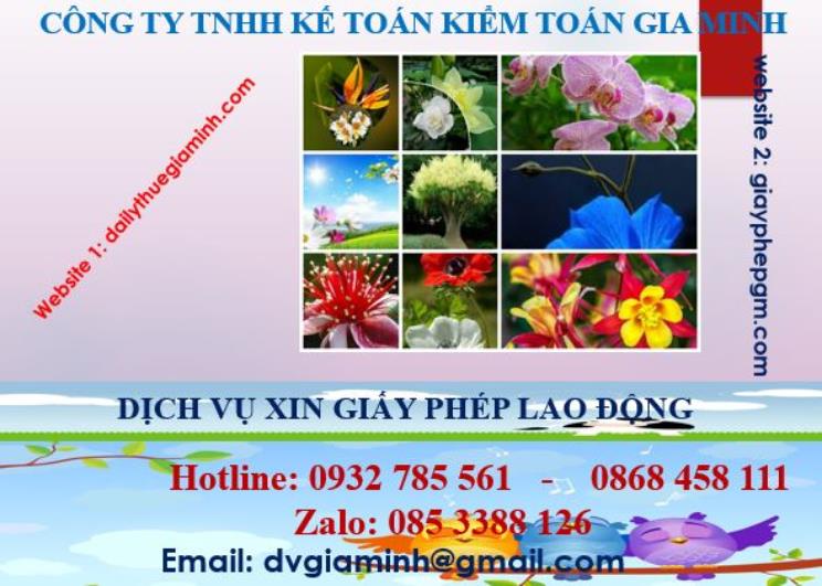 Xin giấy phép lao động tại Ninh Bình 4 Dịch vụ giấy phép lao động tại Ninh Bình