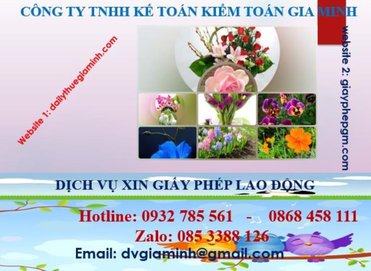 Hướng Dẫn Chi Tiết Xin Giấy Phép Lao Động Tại Phú Thọ 9 Dịch vụ giấy phép lao động tại Phú Thọ