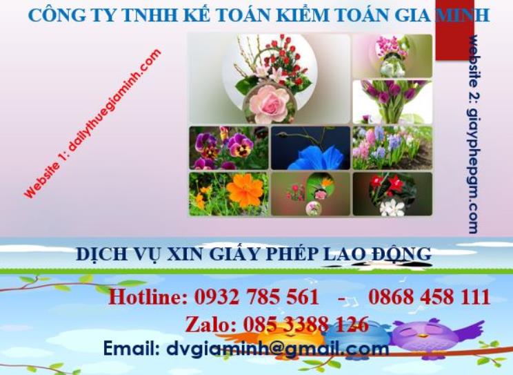 Dịch vụ giấy phép lao động tại Quận 12