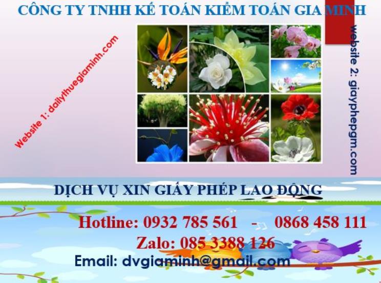 Xin giấy phép lao động tại Thái Bình 4 Dịch vụ giấy phép lao động tại Thái Bình