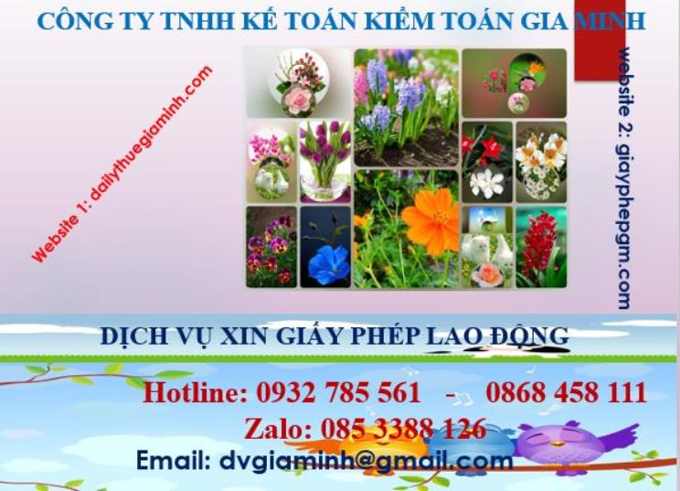Xin giấy phép lao động tại Thành Phố Hồ Chí Minh 4 Dịch vụ giấy phép lao động tại Thành Phố Hồ Chí Minh