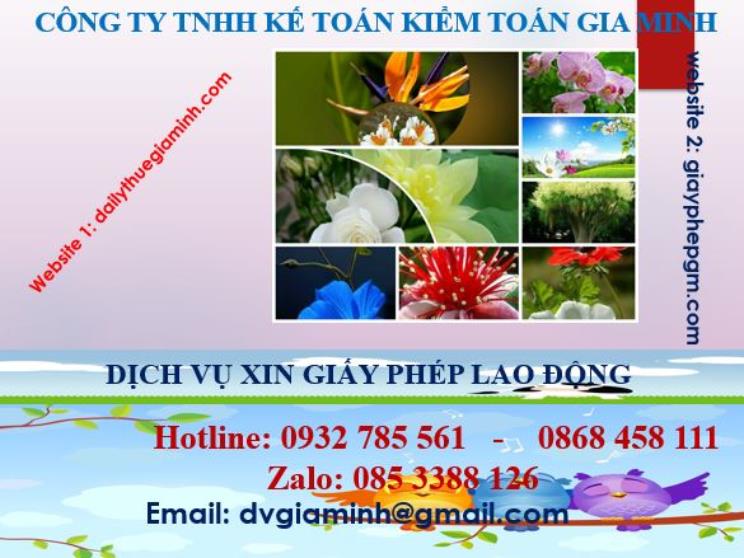Xin giấy phép lao động tại Tuyên Quang 4 Dịch vụ giấy phép lao động tại Tuyên Quang
