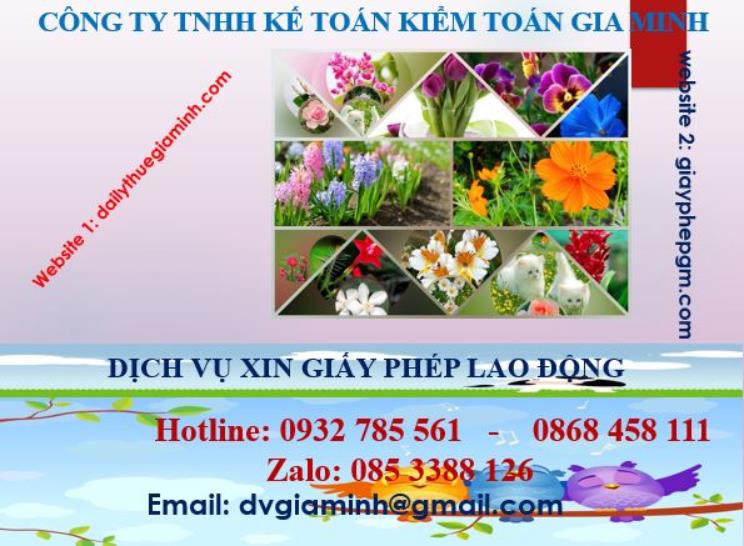 Xin giấy phép lao động tại Vĩnh Phúc 4 Dịch vụ giấy phép lao động tại Vĩnh Phúc