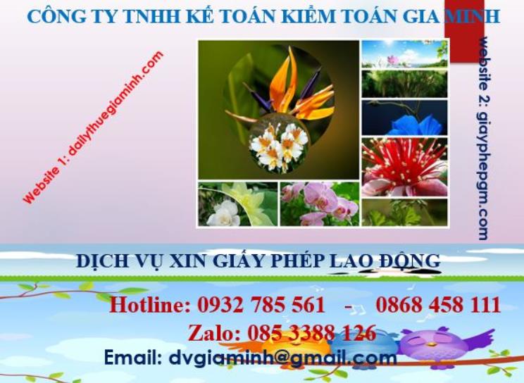 Xin giấy phép lao động tại Vũng Tàu 4 Dịch vụ giấy phép lao động tại Vũng Tàu