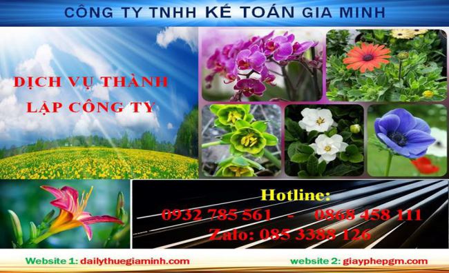 Thủ tục thành lập chi nhánh công ty tại Huyện Phú Giáo
