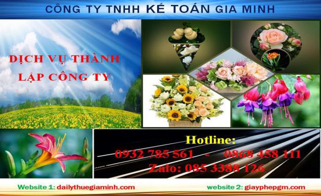 Dịch vụ thành lập chi nhánh công ty tại Huyện Phú Lộc