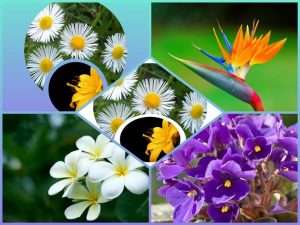 Dịch vụ thành lập chi nhánh công ty tại Huyện Phúc Thọ 6 Cần thành lập chi nhánh công ty tại Huyện Phúc Thọ