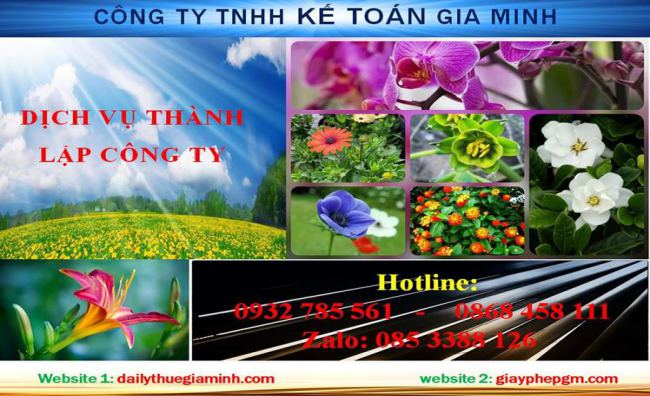 Thủ tục thành lập chi nhánh công ty tại Huyện Quảng Điền