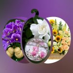Dịch vụ thành lập chi nhánh công ty tại Quận Bình Thủy 6 Cần thành lập chi nhánh công ty tại Quận Bình Thủy